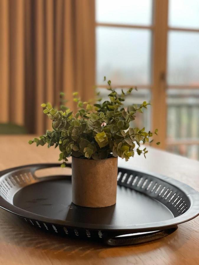 Gmunder Premium Dachgeschoss-Apartments 格门德蒂格斯 外观 照片